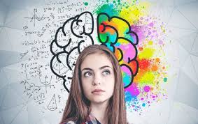 Contact Kota Student Adda student support in Kota